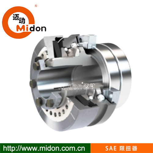 SAE 限扭器4.jpg